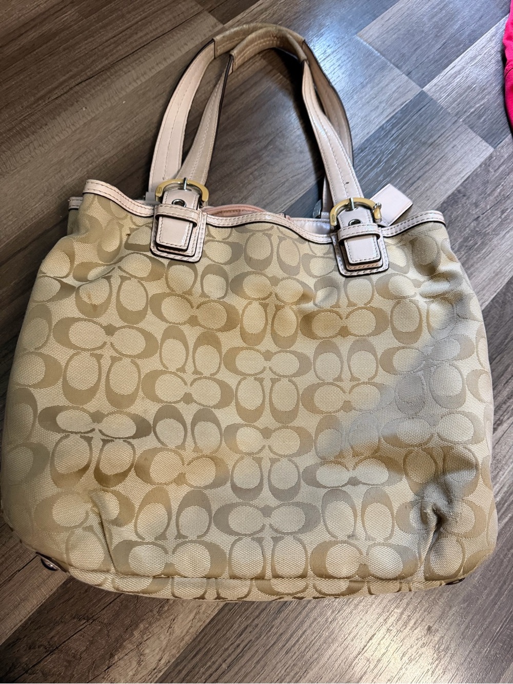 Coach Signature Canvas and Tote Bag in Beige